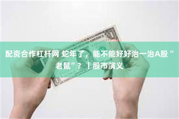 配资合作杠杆网 蛇年了,能不能好好治一治A股“老鼠”?丨股市演义