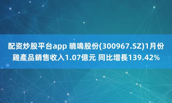 配资炒股平台app 曉鳴股份(300967.SZ)1月份雞產品銷售收入1.07億元 同比增長139.42%