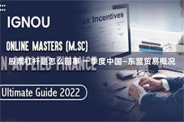 股票杠杆是怎么回事 一季度中国—东盟贸易概况