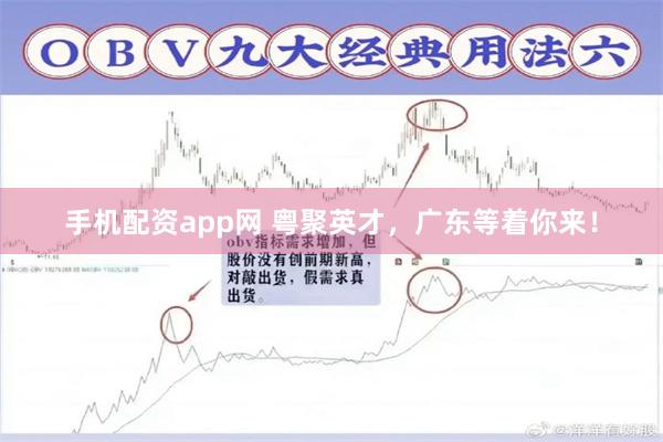 手机配资app网 粤聚英才，广东等着你来！