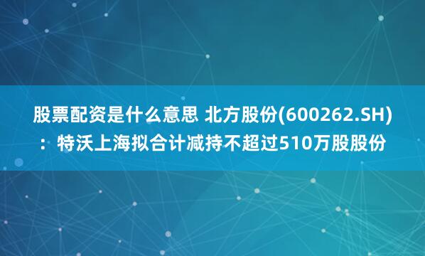 股票配资是什么意思 北方股份(600262.SH)：特沃上海拟合计减持不超过510万股股份