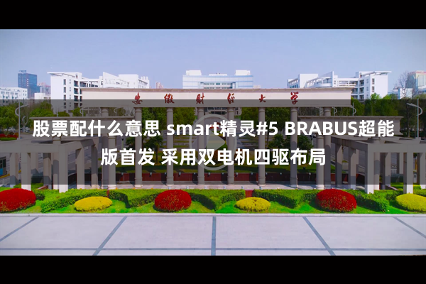 股票配什么意思 smart精灵#5 BRABUS超能版首发 采用双电机四驱布局