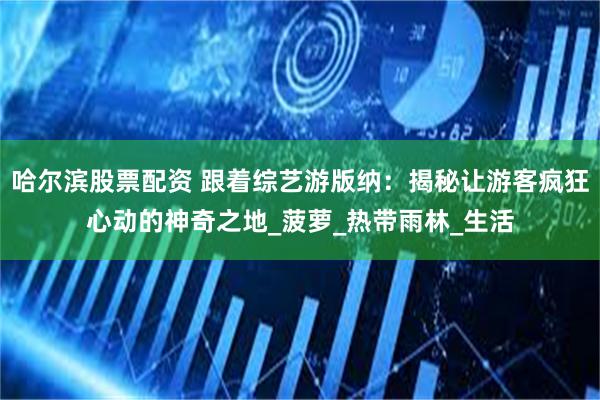 哈尔滨股票配资 跟着综艺游版纳：揭秘让游客疯狂心动的神奇之地_菠萝_热带雨林_生活