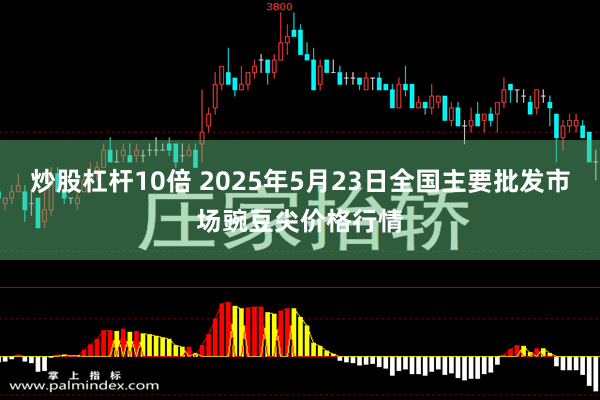 炒股杠杆10倍 2025年5月23日全国主要批发市场豌豆尖价格行情