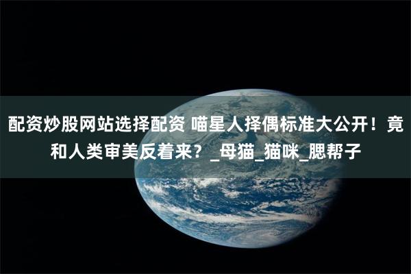 配资炒股网站选择配资 喵星人择偶标准大公开！竟和人类审美反着来？_母猫_猫咪_腮帮子