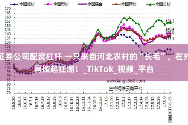 证券公司配资杠杆 一只来自河北农村的“长毛”，在外网掀起狂潮！_TikTok_视频_平台