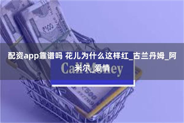 配资app靠谱吗 花儿为什么这样红_古兰丹姆_阿米尔_爱情
