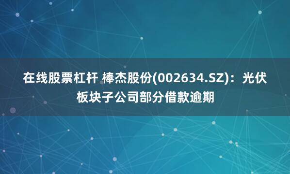 在线股票杠杆 棒杰股份(002634.SZ)：光伏板块子公司部分借款逾期